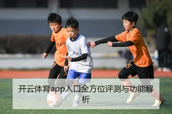 开云体育app入口全方位评测与功能解析
