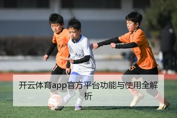 开云体育app官方平台功能与使用全解析