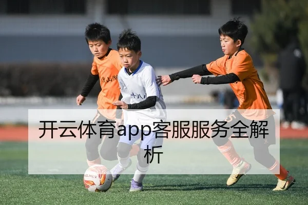 开云体育app客服服务全解析