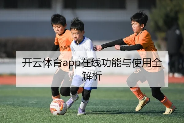开云体育app在线功能与使用全解析