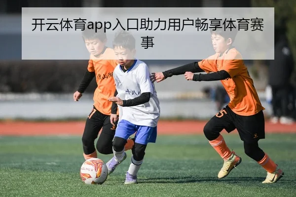 开云体育app入口助力用户畅享体育赛事